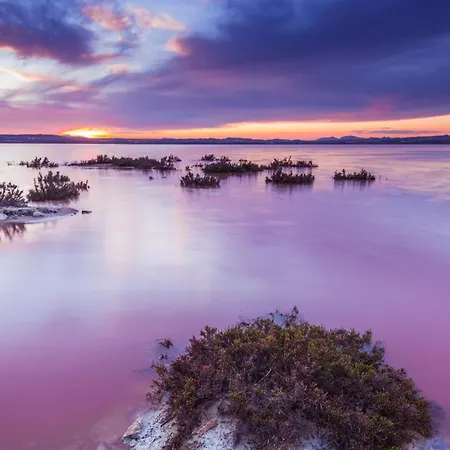 Sunny Flat 500 Metres From The - Centre شقة *