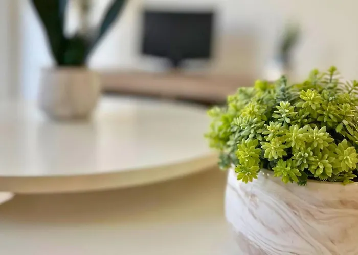 Apartment Sunny Flat 500 Metres From The - Centre Torrevieja