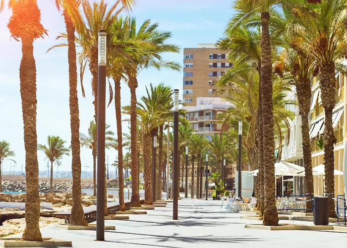 Apartment Sunny Flat 500 Metres From The - Centre